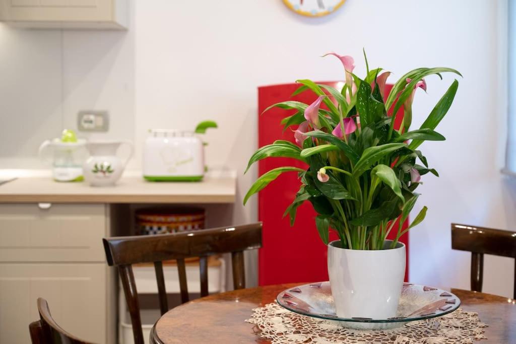 Casa Bouganville - St. Peter Romantic Apartment 외부 사진